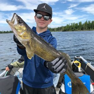 Meet your Posher, Curtis